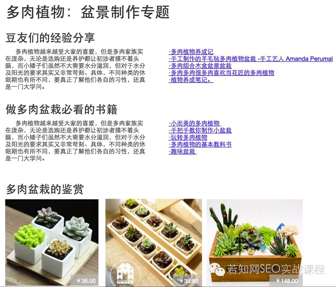 专题优化